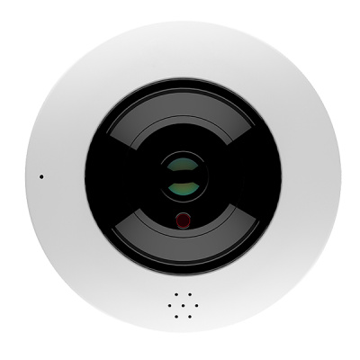 купольная SPIP-4D620IR-1P видеокамера IP для систем видеонаблюдения 4.0 Мп